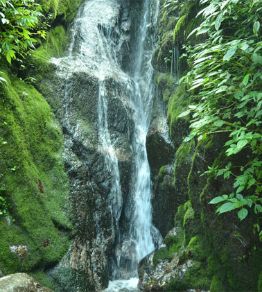 Satdhara